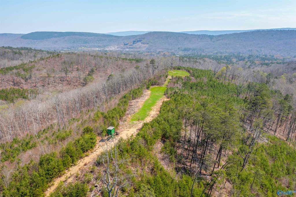 163-acre Duck Springs Road property view 5