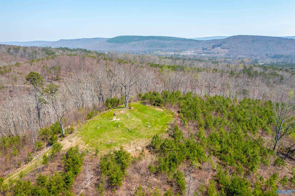 163-acre Duck Springs Road property view 6