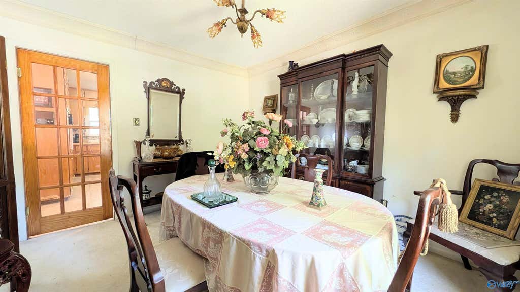 205 Jo Cyn Drive property view 8